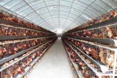 �u�S�ЙC�����a(ch��n)��