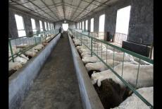 ��S�ЙC�����a(ch��n)��