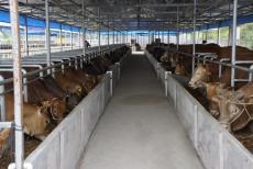 ţ�S�ЙC�����a(ch��n)��