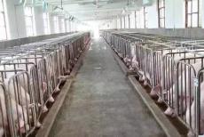 �i�S�ЙC�����a(ch��n)��